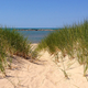 Espacio protegido de Loyola Dunes. Foto: Nature Conservancy